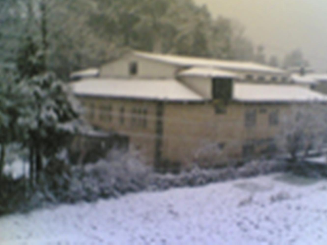 Hotel Langdale Manor Nainital Exterior foto